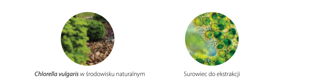 Kolagen Vege 95ml - wegański krem do twarzy